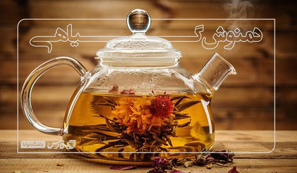 دانستنی‌هایی درباره دمنوش‌‌های گیاهی