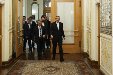 دیدار معاون وزیر خارجه ترکیه با علی باقری