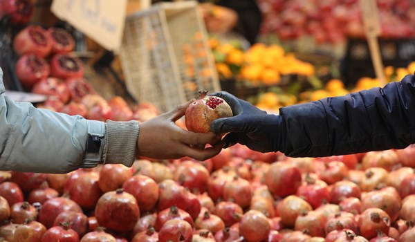 فیلم| یلدای همدلی