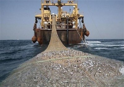 نقشه‌برداری از ذخایر میگو در خلیج فارس با اطلاعات ماهواره‌ای