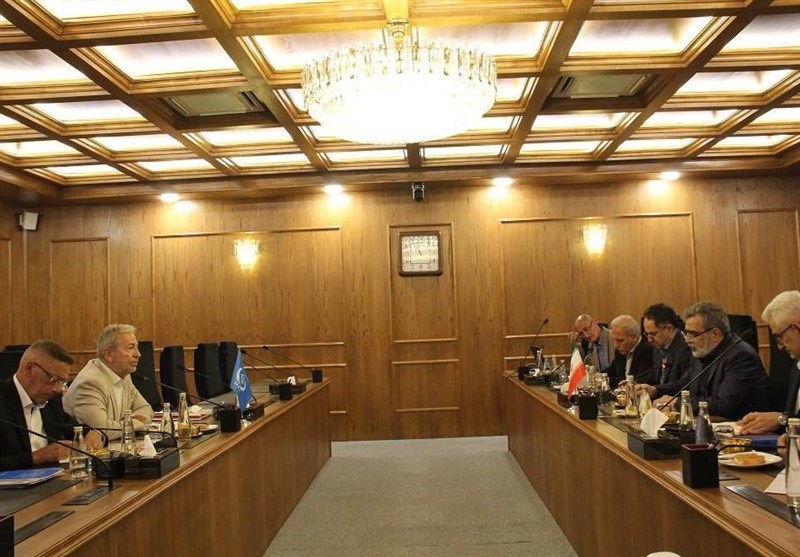 مباحث فنی و پادمانی محور گفتگوی معاون آژانس با کمالوندی