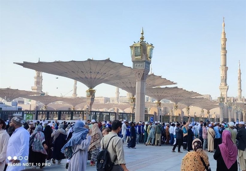 ورود کاروان دانشجویان متاهل به مدینه