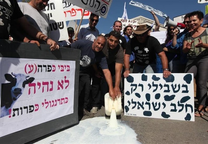 دامداران صهیونیست به سیم آخر زدند