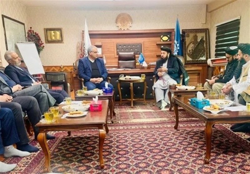 حسینی: امکان صدور سالانه 200 هزار ویزای کاری برای افغان‌ها فراهم است